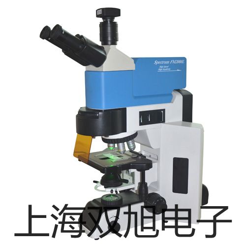  �x��T31XWCN�_���N�۲�