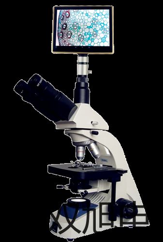 �����ƽPRACTUM313-1CN�Ĵ�üɽ�N��