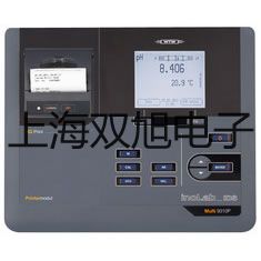 雷磁溶氧電極DO-957山東菏澤成武原理