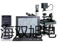 testo 打印機福建泉州金門報價單