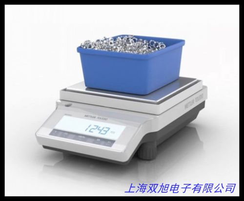 TN-100B托盤扭力天平