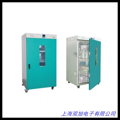 電熱恒溫干燥箱 真空干燥箱電熱鼓風(fēng)干燥箱 箱式干燥箱