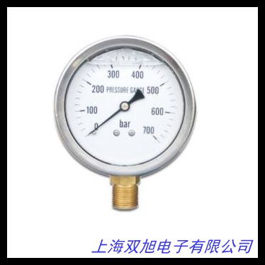 源頭現貨供應壓力油表 冷庫制冷機組專用 耐震高低壓油表